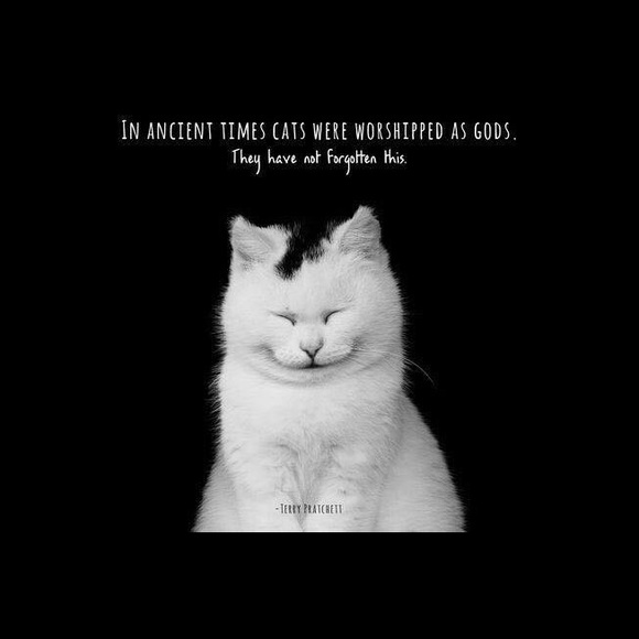 I learn so much checking out other closets! - Picture 5 of 16